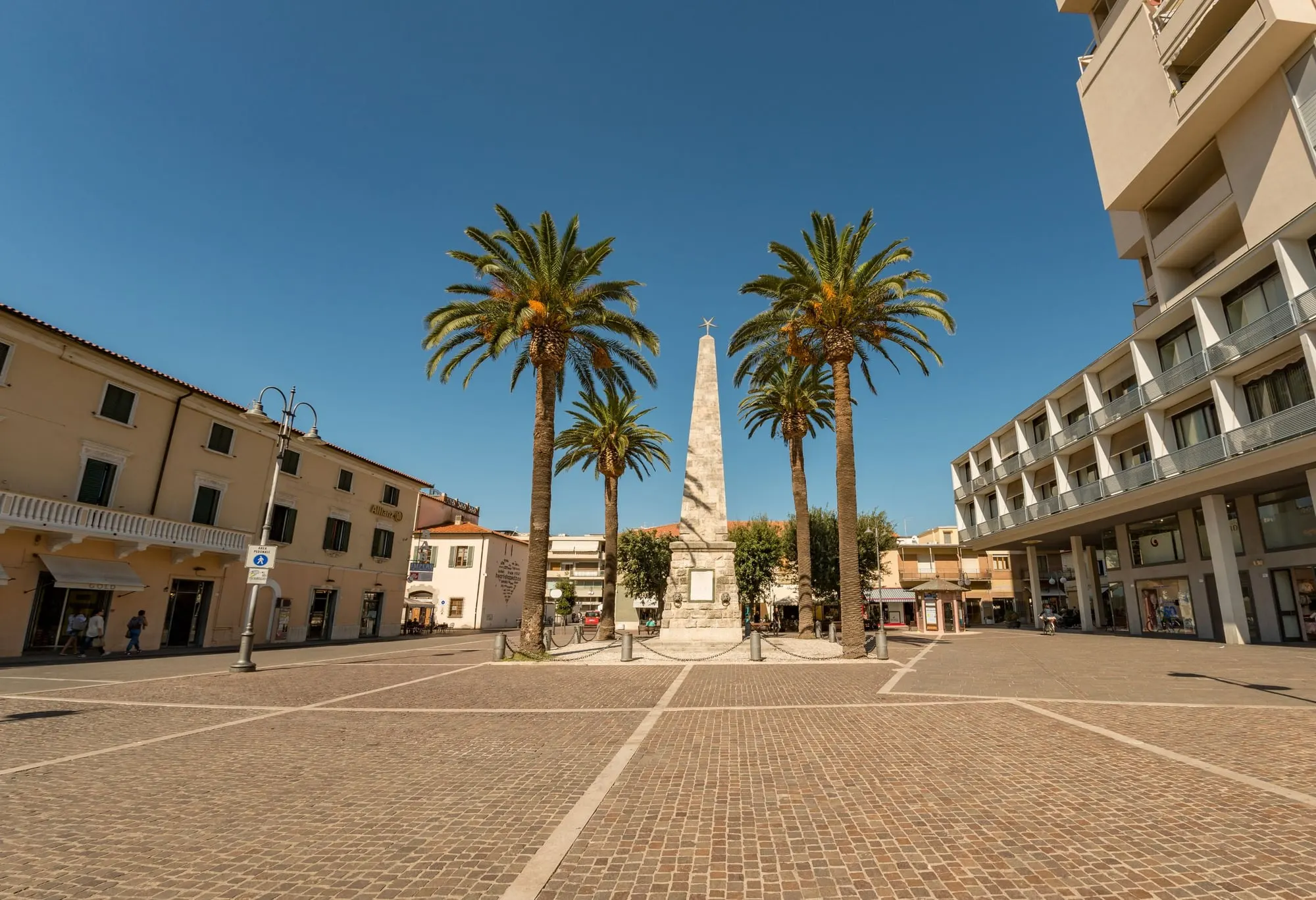 Paved courtyard with palms