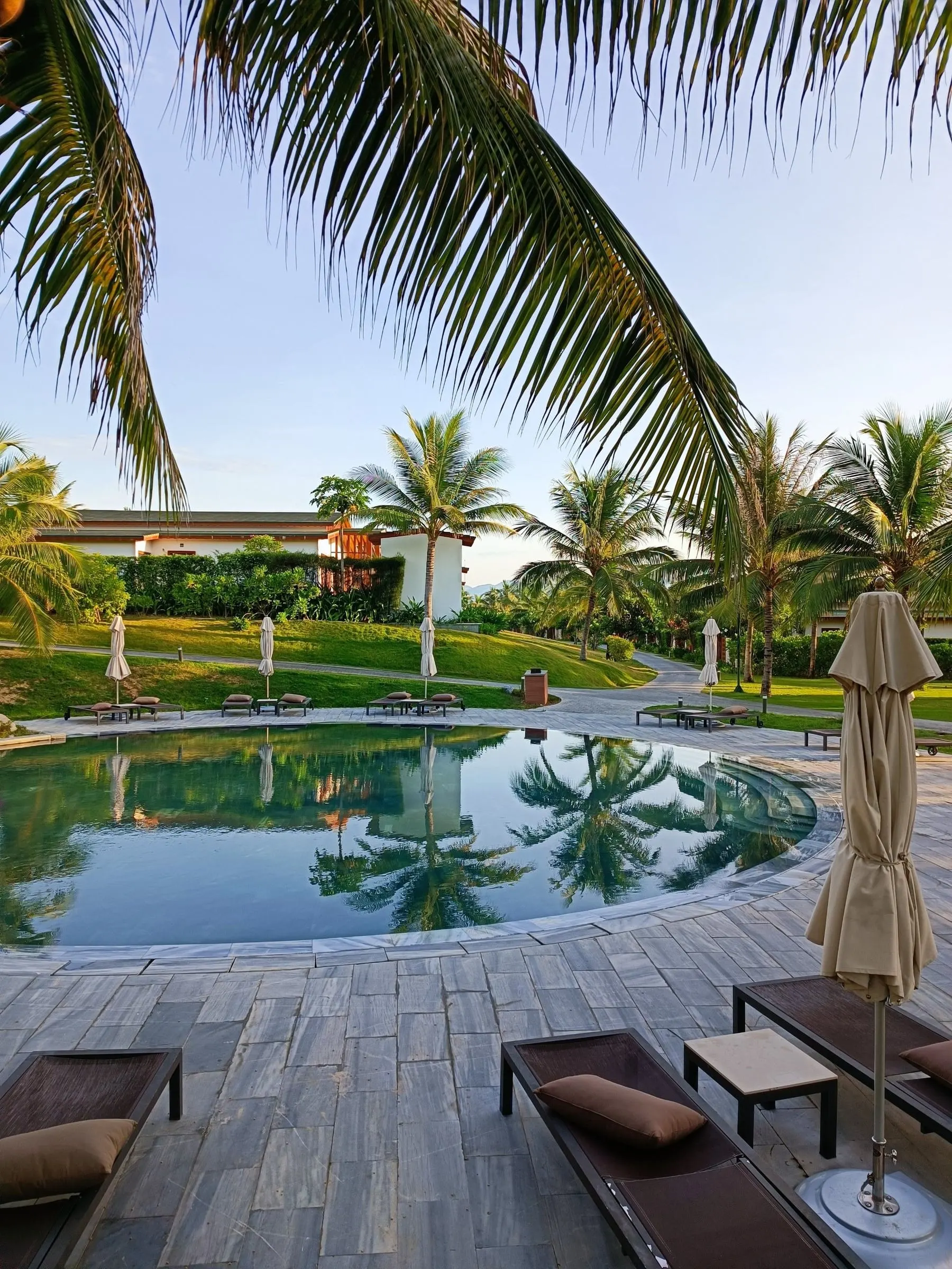 Resort-style pool deck surrounded by palms