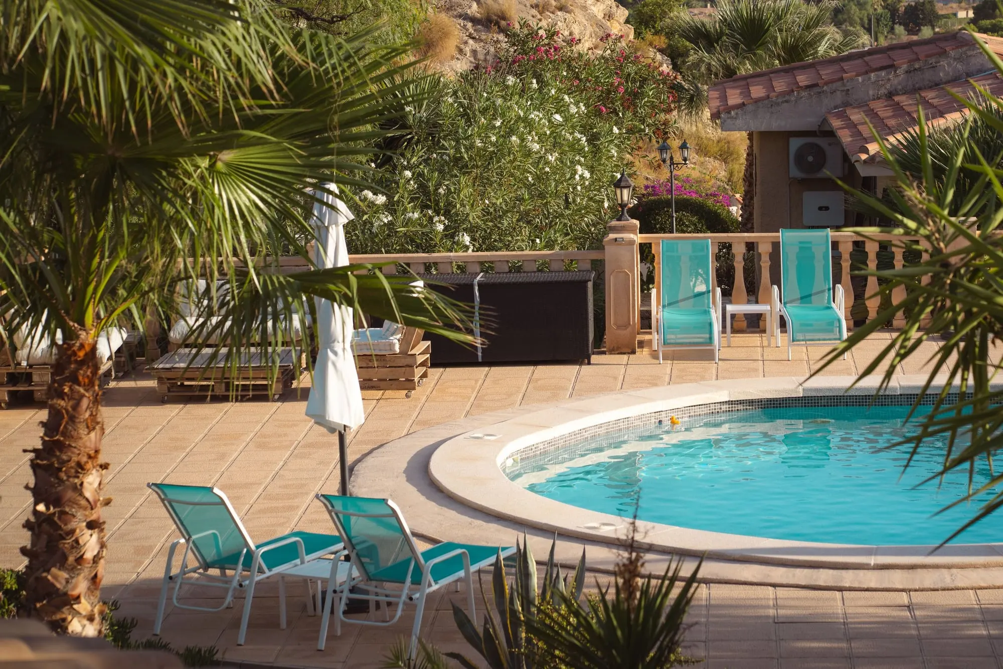 Freeform pool with paver patio