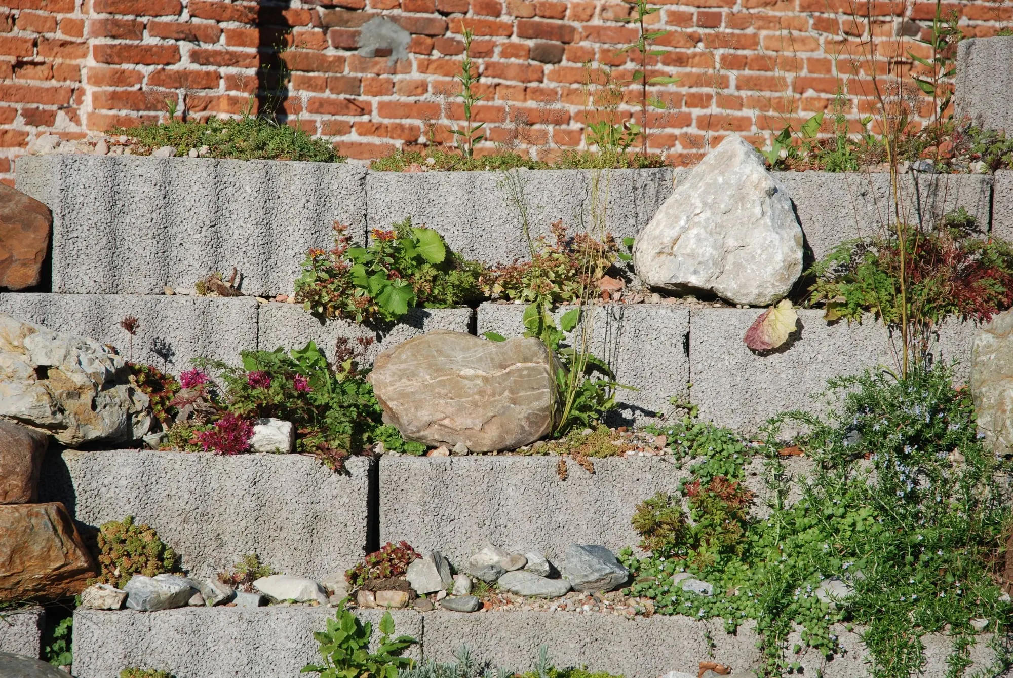 Segmental block retaining wall with plantings